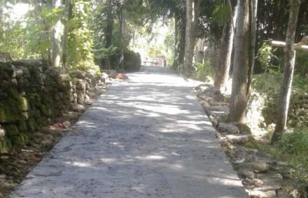 Pembangunan Cor Blok Jalan Lingkungan Petung RT 02